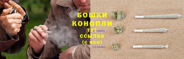 тгк Няндома
