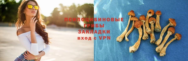 героин Алексин