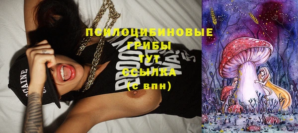 гидра Нязепетровск