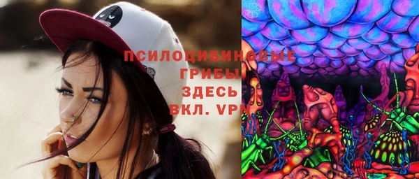 стаф Алексеевка